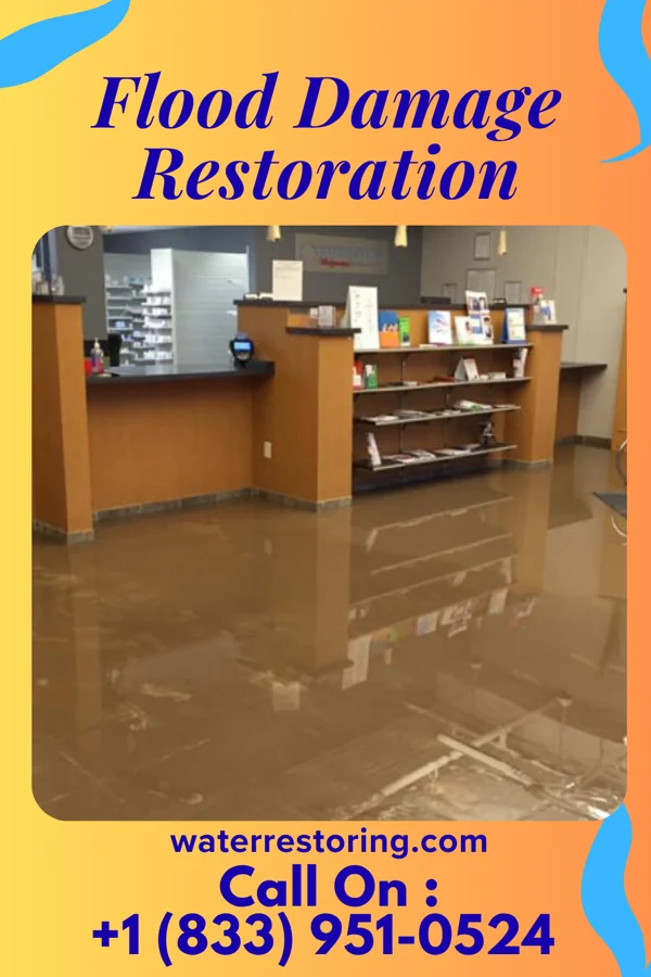 Flood Damage Restoration in Waxahachie, TX